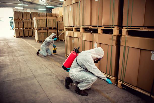 Best Pest Prevention Services  in Ely, IA