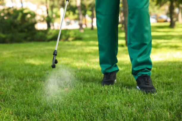 Best Affordable Pest Control Services  in Ely, IA