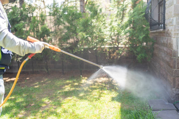 Best Termite Control Services  in Ely, IA