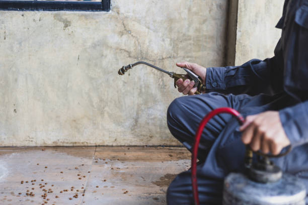 Best Affordable Pest Control Services  in Ely, IA