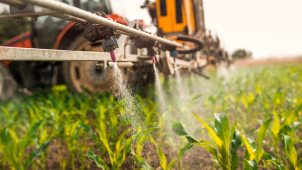 Best Residential Pest Control  in Ely, IA